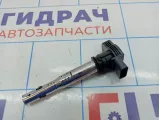 Катушка зажигания Skoda Superb (3T) 0702S00300