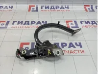 Петля багажника правая Skoda Superb (3T)