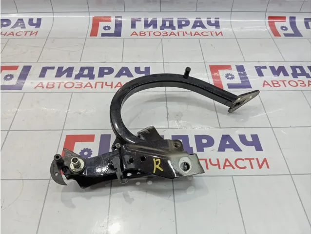 Петля багажника правая Skoda Superb (3T)