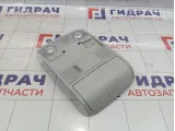 Плафон салонный Skoda Superb (3T) 3T0947105AQD