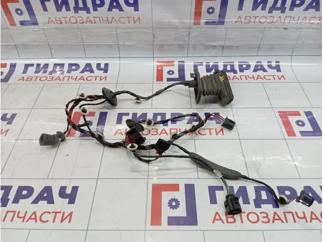 Проводка двери задней правой Skoda Superb (3T) 3T0971162F