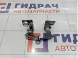 Петли двери задней левой Skoda Superb (3T)
