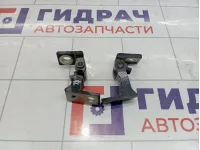 Петли двери задней левой Skoda Superb (3T)