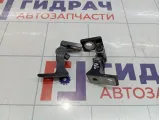 Петли двери задней левой Skoda Superb (3T)