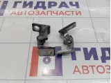 Петли двери задней правой Skoda Superb (3T)