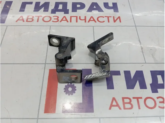 Петли двери задней правой Skoda Superb (3T)