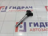 Катушка зажигания Skoda Superb (3T)