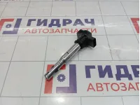 Катушка зажигания Skoda Superb (3T)