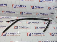 Уплотнитель стекла двери передней левой Skoda Superb (3T) 3T0837431E