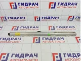 Шторка солнцезащитная задняя левая Skoda Superb (3T) 3T98613339B9