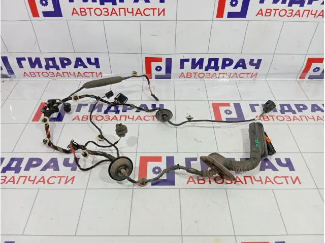 Проводка двери задней правой Skoda Superb (3T) 3T0971162F