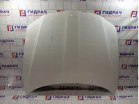 Капот Skoda Superb (3T) 3T0823031