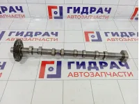 Распредвал выпускной Skoda Superb (3T) 06H109022BA