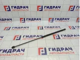Амортизатор капота Skoda Superb (3T)