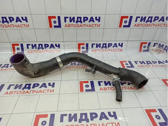 Патрубок интеркулера Skoda Superb (3T) 1K0145770AH