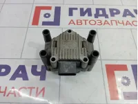 Катушка зажигания Skoda Yeti (5L) 032905106E