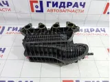 Коллектор впускной Skoda Yeti (5L) 03F129709H