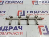 Рейка топливная (рампа) Skoda Yeti (5L) 03F133320C