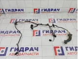 Проводка двери задней левой Skoda Yeti 5L0971161L