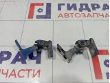 Петли двери задней правой Skoda Yeti