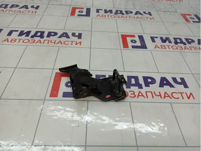 Крючок капота Skoda Yeti 5L0823480