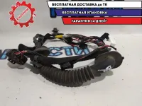 Проводка двери задней правой KIA Soul 916602K020.