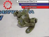 Петли двери задней правой KIA Soul.
