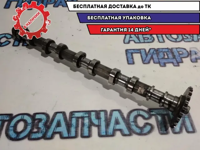 Распредвал выпускной KIA Soul 241002A101