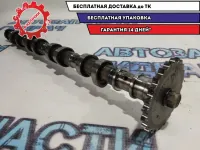 Распредвал впускной KIA Soul 242002A101