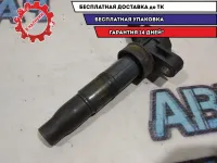 Катушка зажигания Kia Sportage 273003F100