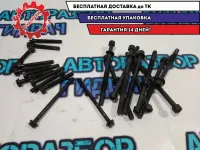 Болты ГБЦ Kia Sportage