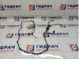 Проводка двери багажника SsangYong Actyon New 8275034010