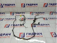 Проводка двери багажника SsangYong Actyon New 8275034010