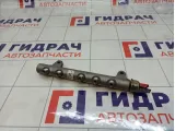 Рейка топливная (рампа) SsangYong Actyon New 6710700195