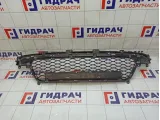 Решетка в бампер центральная SsangYong Actyon New 7878134000