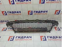 Решетка в бампер центральная SsangYong Actyon New 7878134000
