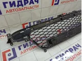Решетка в бампер центральная SsangYong Actyon New 7878134000