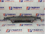Решетка в бампер центральная SsangYong Actyon New 7878134000