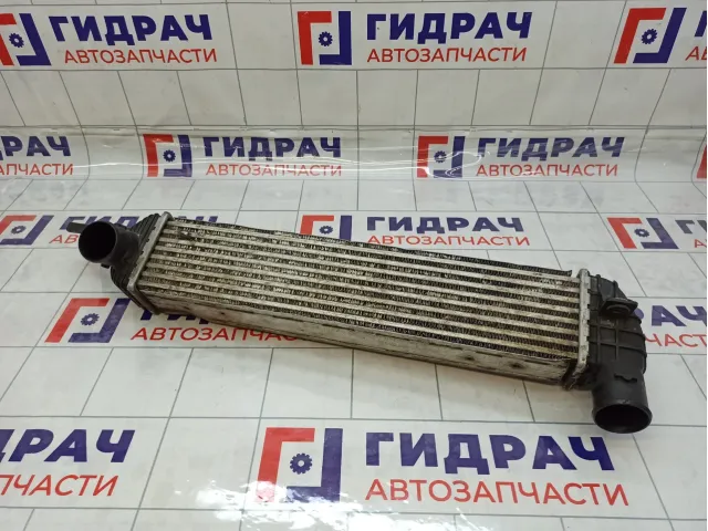 Интеркулер SsangYong Actyon New 2371034100