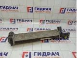 Интеркулер SsangYong Actyon New 2371034100