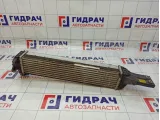 Интеркулер SsangYong Actyon New 2371034100