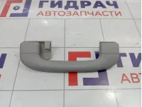 Ручка внутренняя потолочная SsangYong Actyon New 7762034000ACE