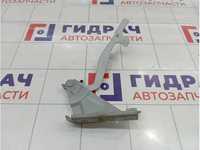 Петля капота правая SsangYong Actyon New 6182034001