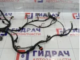Проводка двигателя SsangYong Actyon New 1721503033