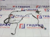 Проводка задней левой двери SsangYong Actyon New 8270434011