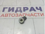 Датчик детонации SsangYong Actyon New 1611533628