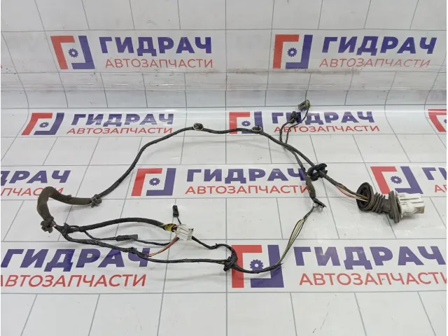 Проводка двери задней правой SsangYong Actyon 8270534011