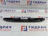 Накладка двери (крышки) багажника SsangYong Actyon 7965034001LAK