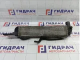 Интеркулер SsangYong Actyon 2371034100