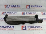Интеркулер SsangYong Actyon 2371034100